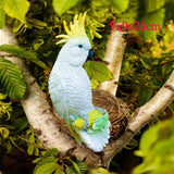 Parrot Miniature Sculpture Resin