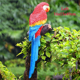 Parrot Miniature Sculpture Resin